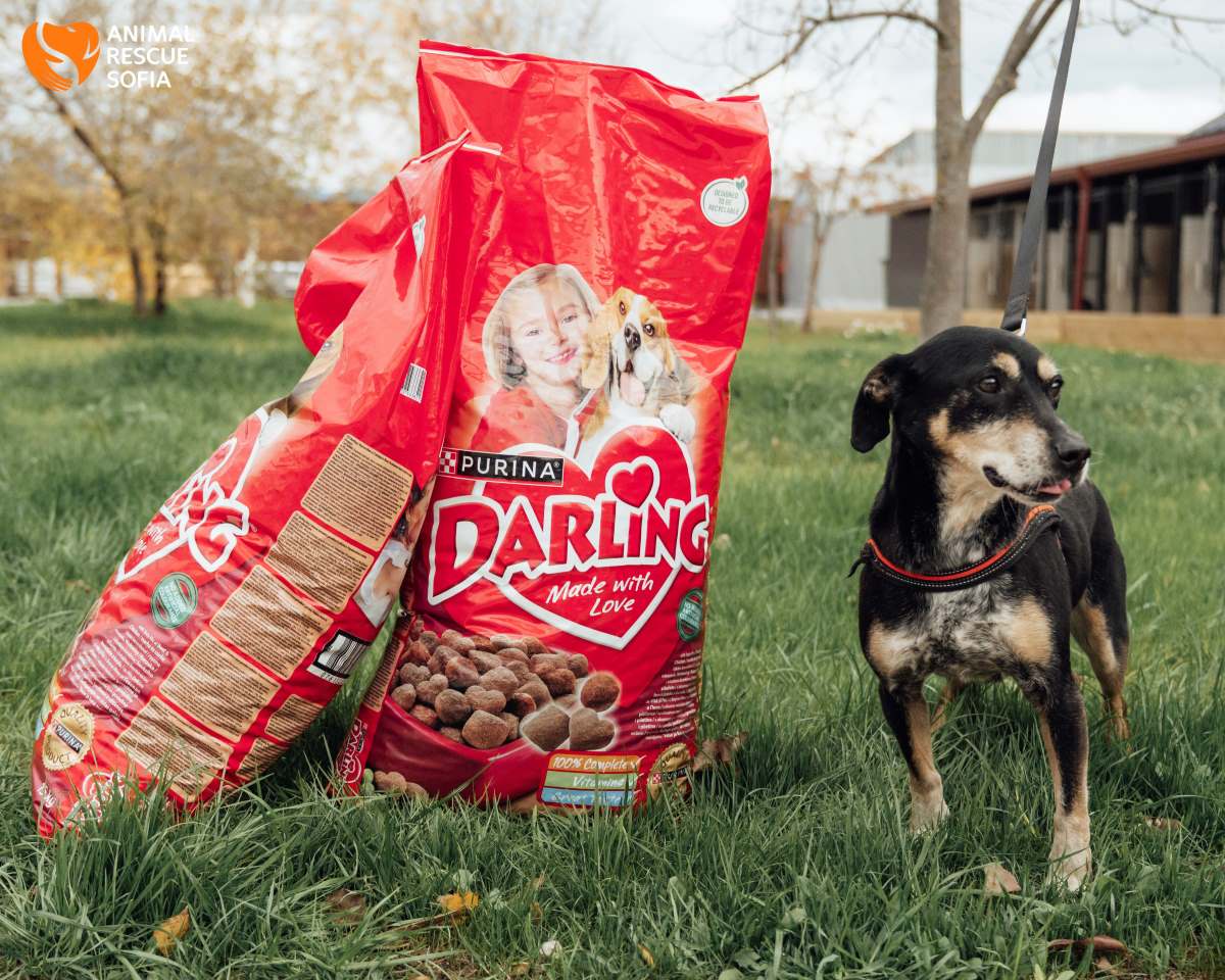 Purina достави 1 тон надежда: обещаната храна на софийското издание “Нестле за Живей Активно!” стигна до 120 кучета в нужда